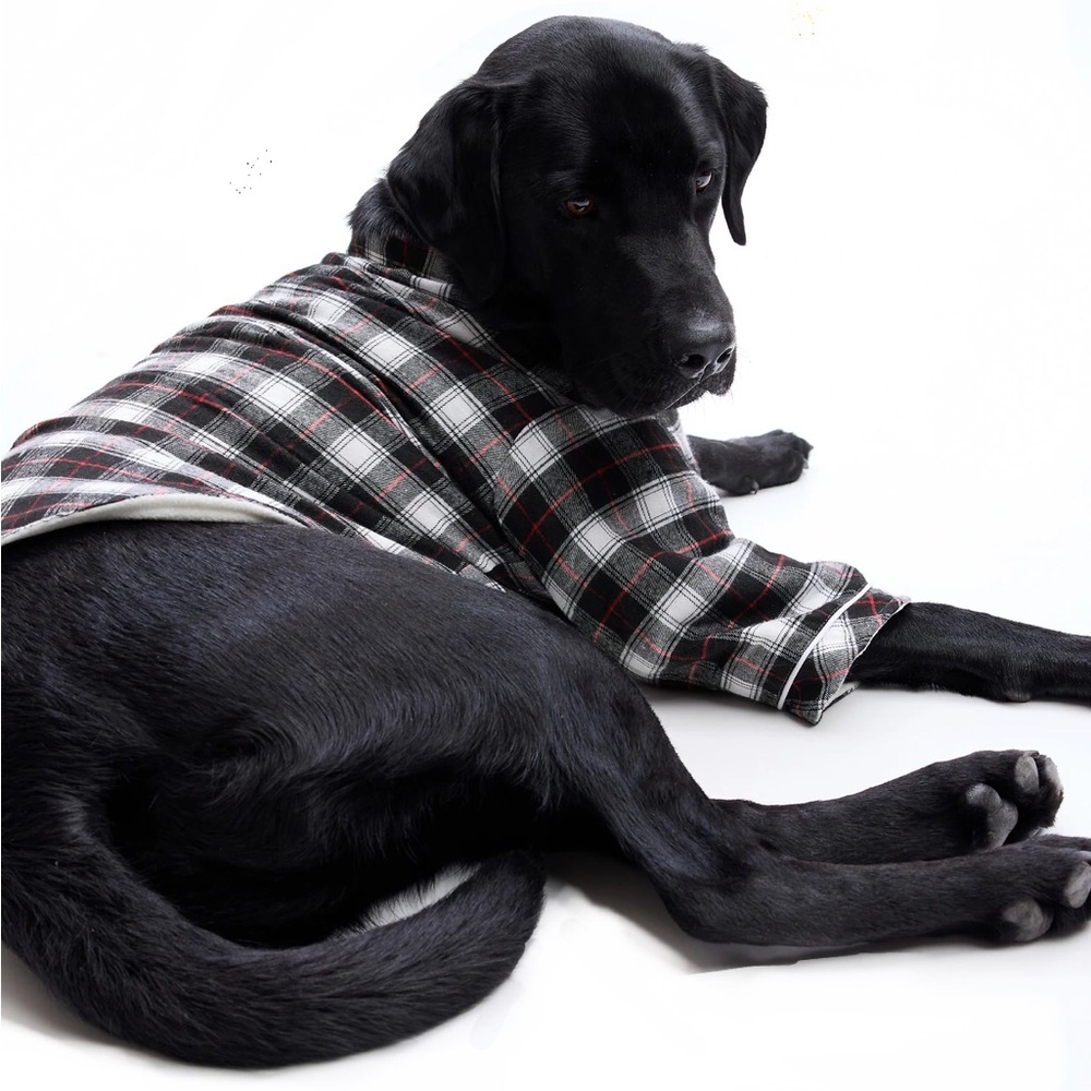 NWT Gap Green Flannel PJs for a Lucky Dog Sz.S - Picture 3 of 4